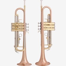 Hot sell professional Free shipping LT197S-99 phosphor copper trumpet with case