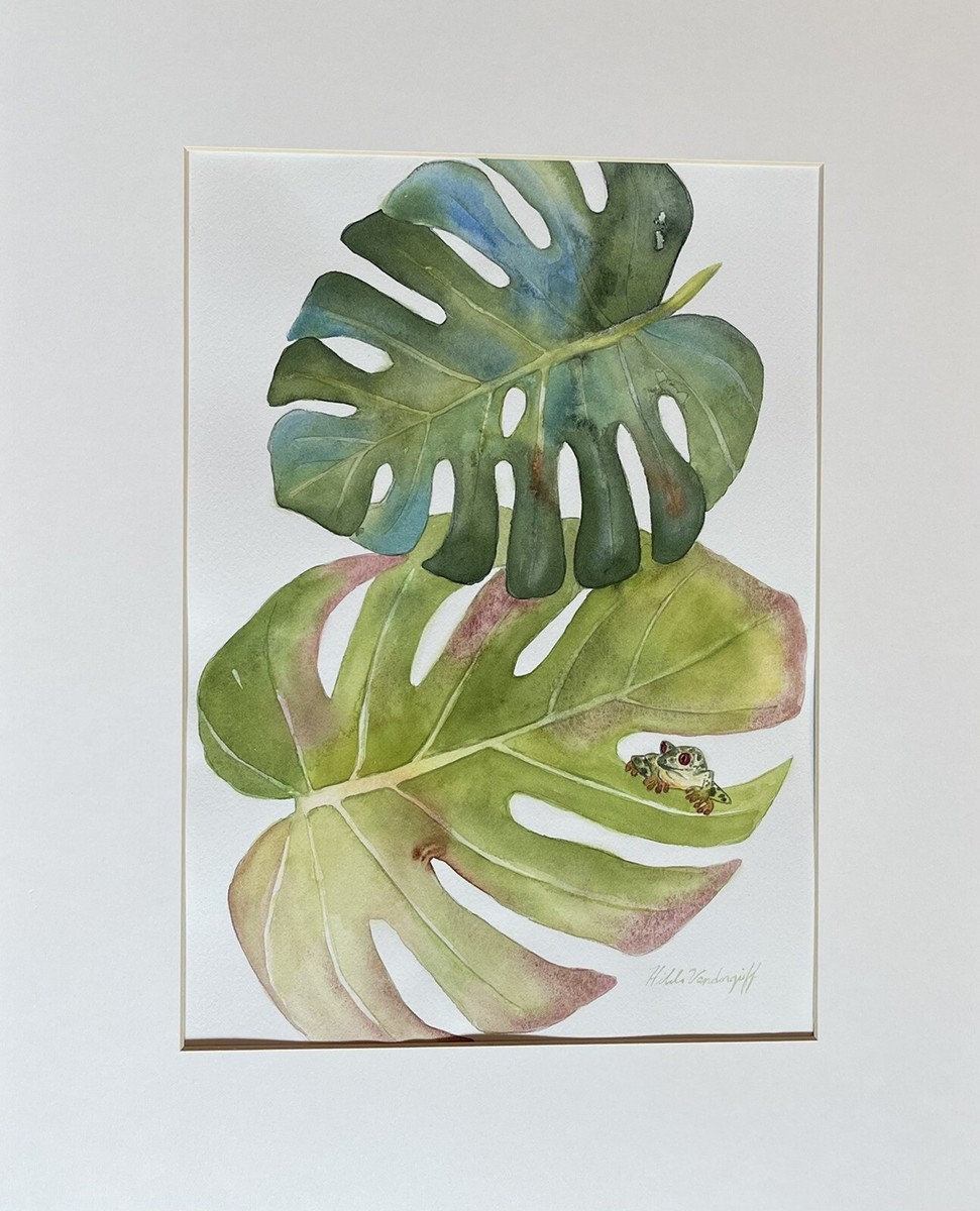 philodendron imperial red Shop Our Philodendron Imperial Red