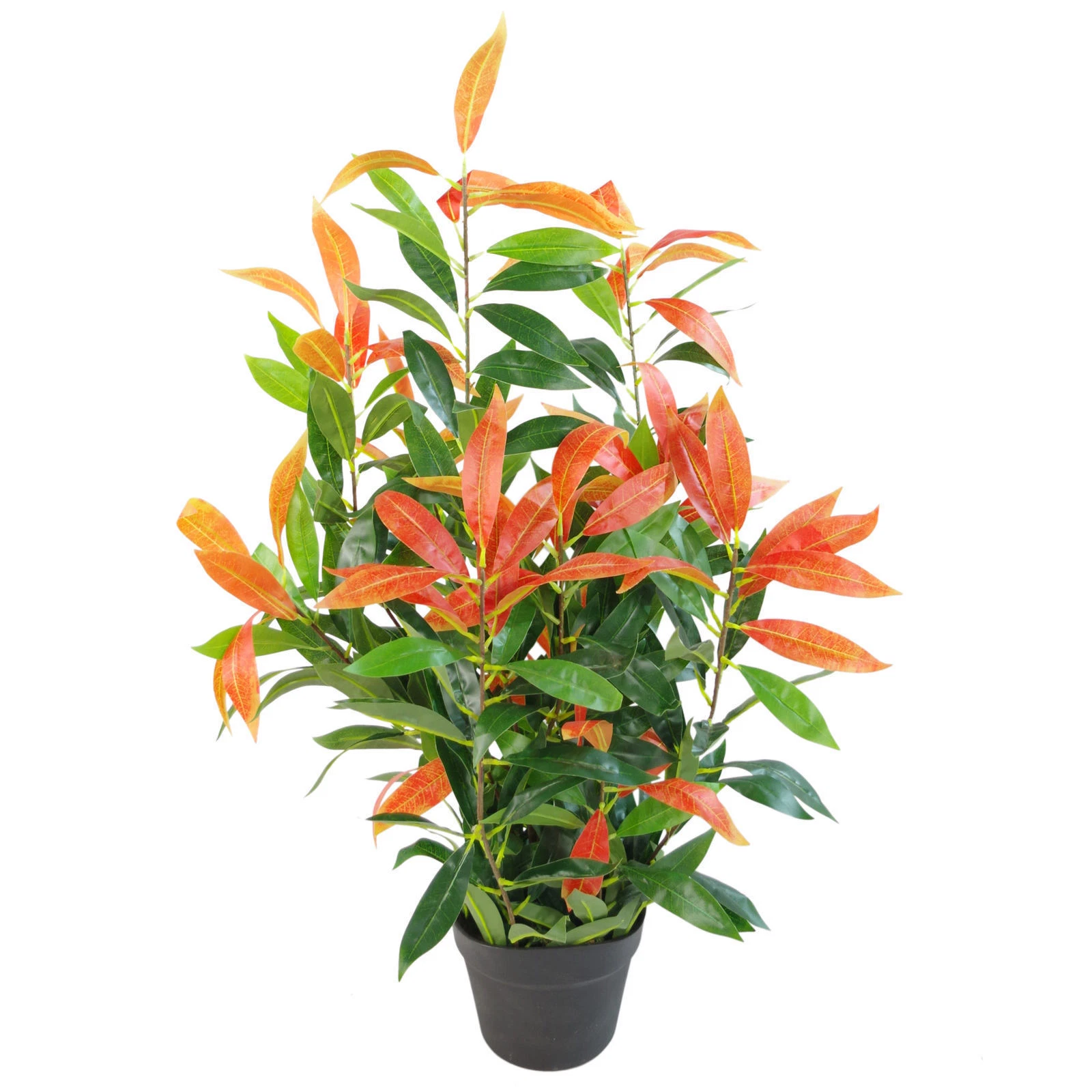 80cm Red and Green Ficus Plant - 7232