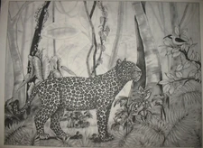 * TRI CHEM 8816 JAGUR IN THE JUNGLE WILDCAT WILDLIFE Picture TRICHEM