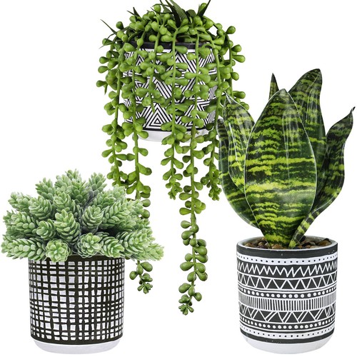 Winlyn 3 Pcs Small Potted Plants Artificial Succulents Hanging Plants and Fau...