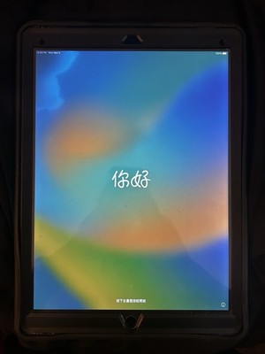 iPad Pro 12.9 (First Generation) 32 GB