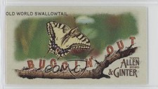 2020 Topps Allen & Ginter's Buggin' Out! Minis Old World Swallowtail #MBO-17 0q3