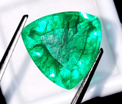 Natural Green Colombia Emerald Trillion Cut 9 Ct Certified Loose Gemstone H279