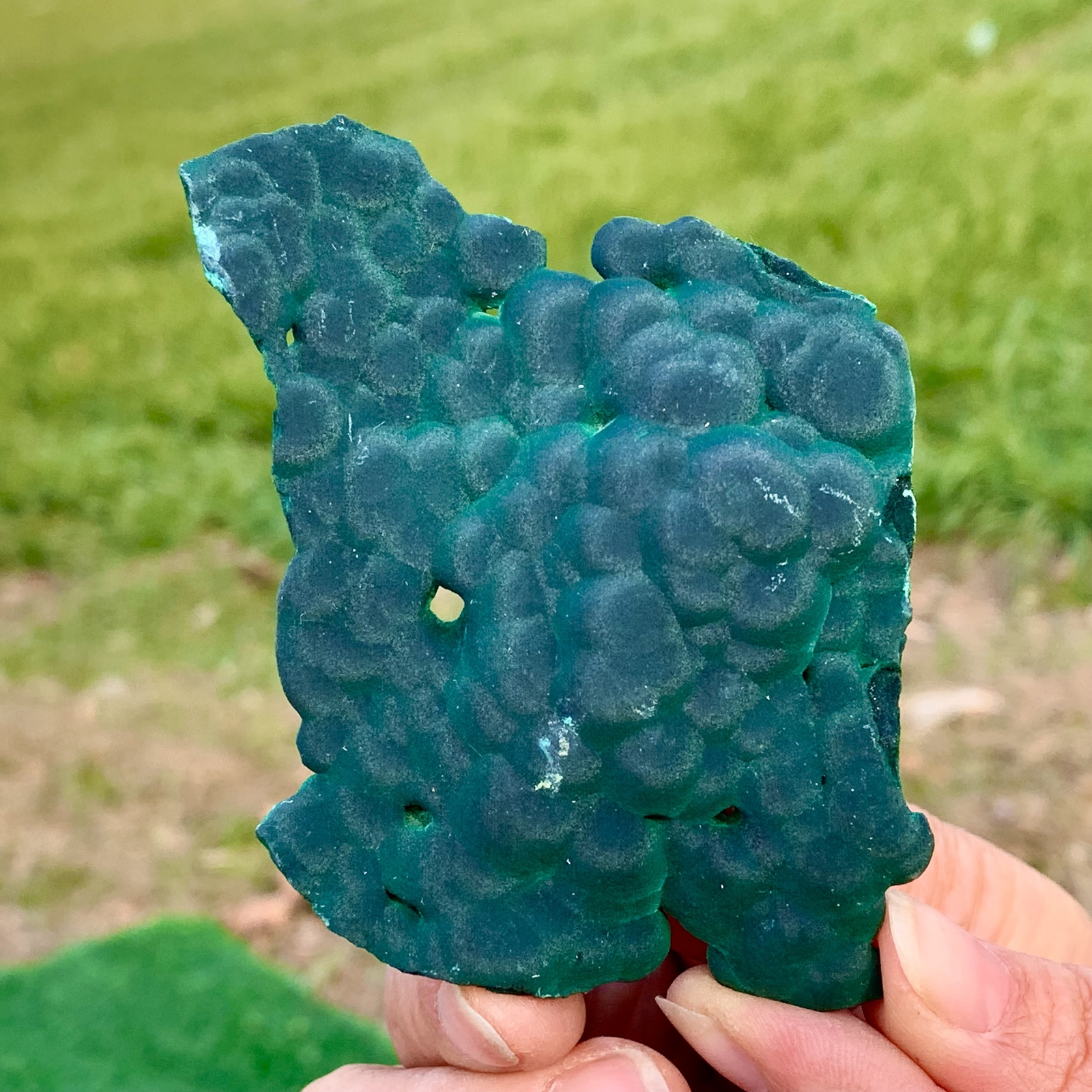 104G  Natural velvet Malachite stone cat eye cluster rough mineral sample