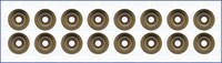 Ajusa Dichtungssatz Ventilschaft 57042200 FüR Fiat Peugeot Jumper Iveco CitroËN