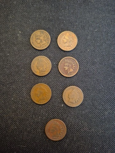 7 Vintage 1894 Indian Head Penny Coin Collection