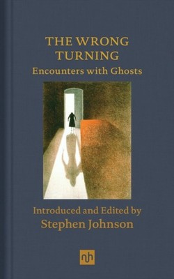 The Wrong Turning: Encounters with Ghosts by Stephen Johnson HARDBACK