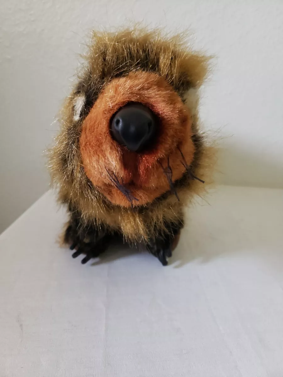 Woodchuck stuffed cheap animal