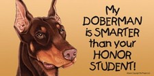 My DOBERMAN (red) is SMARTER than your Honor Student! Car Fridge Dog Magnet 4x8
