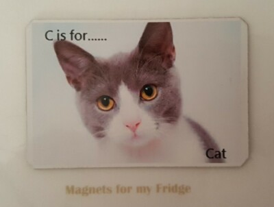 CHILDREN'S LEARNING ALPHABET 'C is for Cat' FRIDGE MAGNET - M608 F