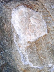 EXTRA INTERESTING & LARGE UNKNOWN ROCK??? FOSSIL??? FROM KERN COUNTY, CALIFORNIA