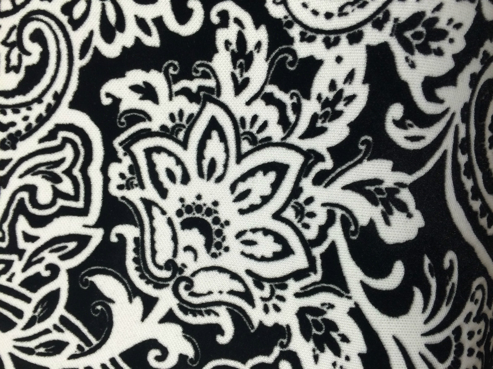 Picture 6 of 22
