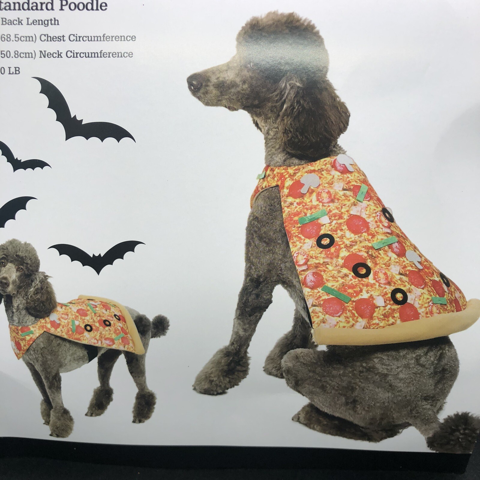 Related New Package Parade