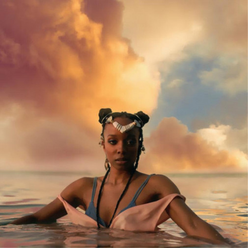 Джамила Вудс (Jamila Woods HEAVN) (Винил) 12 альбом (ИМПОРТИРОВАН из Великобритании)