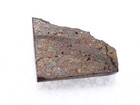 .274 grams•NWA 7487 Meteorite•H4•Cut Fragment Rare•COA — photo 2