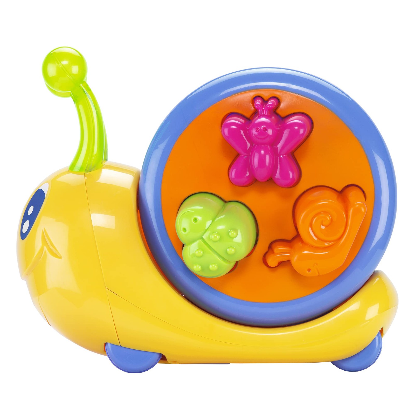 Волшебная улитка 8090₽