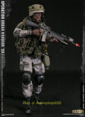 DAMTOYS 1/6 78080 Marine Corps Gunner Sergeant Major Action Figure
