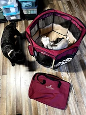 Zampa Puppy Pop Up Extra Small 29"x29"x17" Portable Playpen for Dog and Cats ...