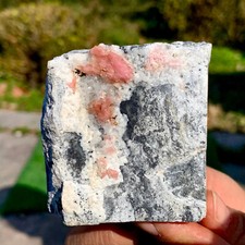 234G Rare!! Natural beautiful Rhodochrosite with Rock Crystal Specimen Rough