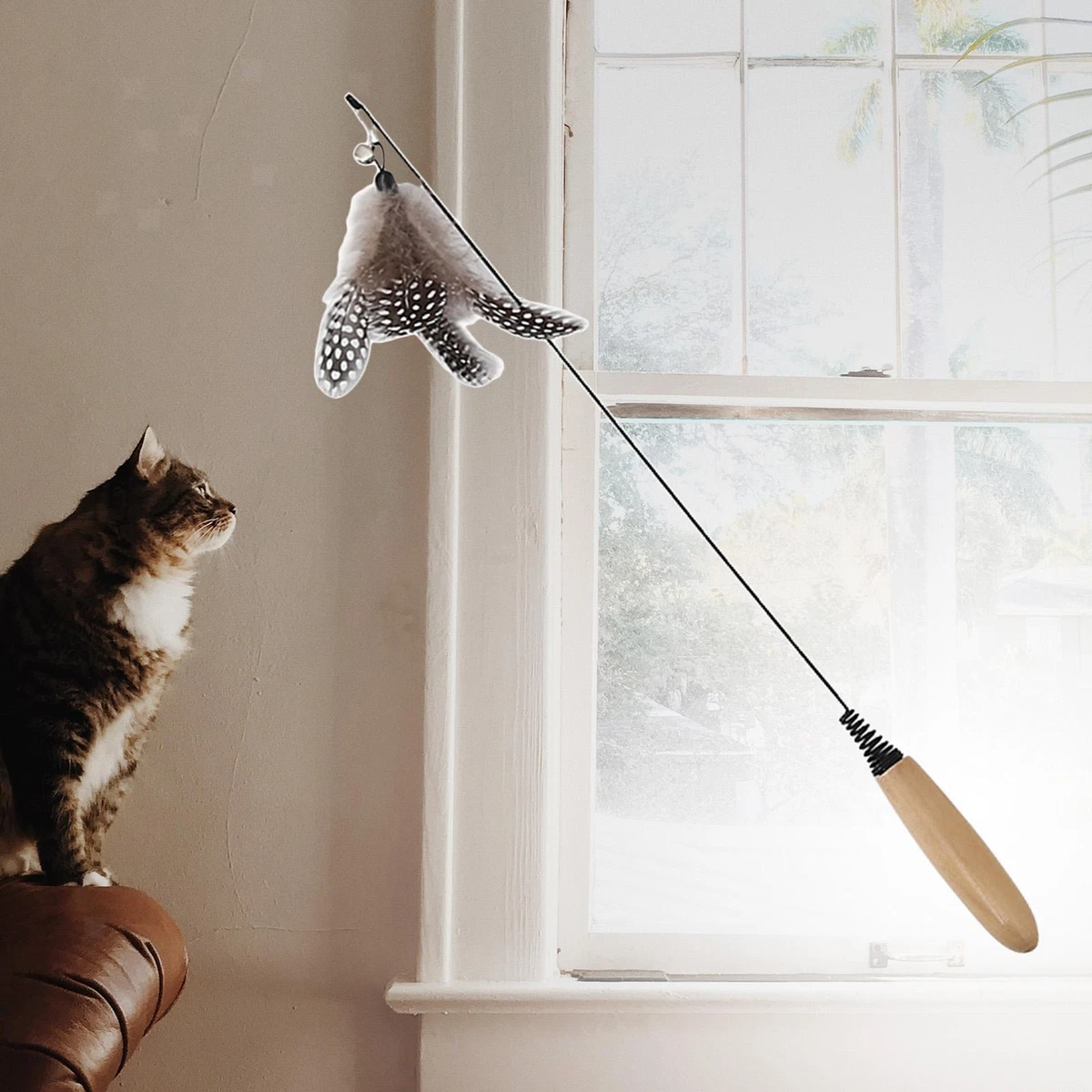 Educational toys for cats cheap