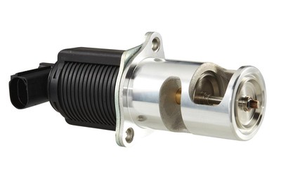 HELLA 6NU 010 171-521 AGR-Ventil mit Dichtung für OPEL Vivaro A Combi (X83)