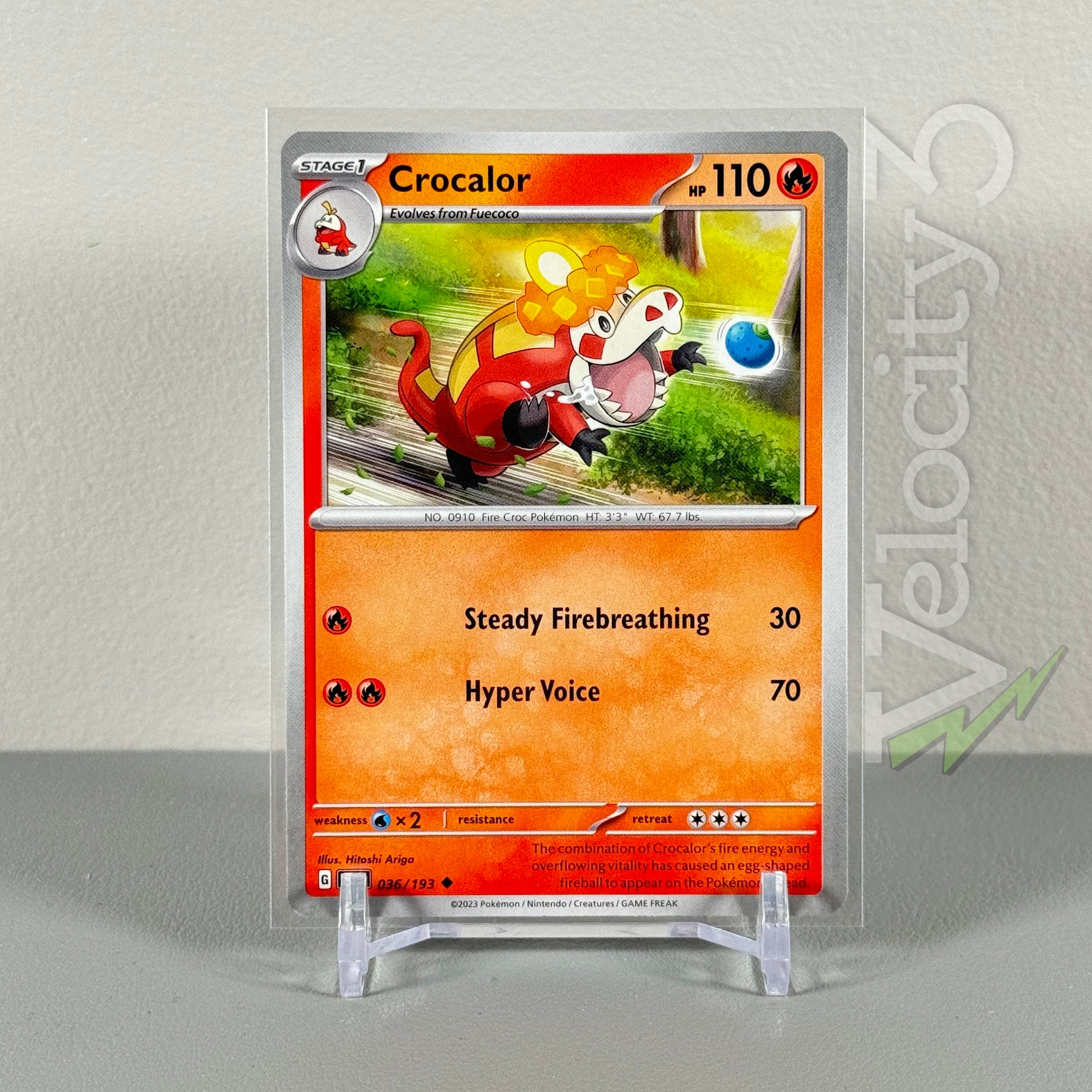 Pokemon TCG Card: CROCALOR 36/193 | Uncommon | Paldea Evolved | NM/Mint