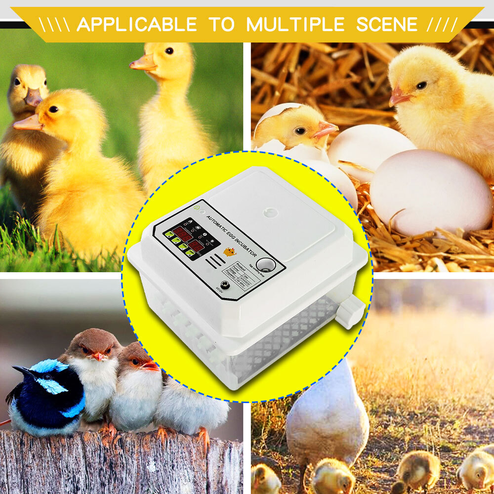 16 Egg Incubator Automatic Turner Hatcher Temperature Control LED Light Alarm
