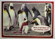 Papyrus- Christmas- Humor- Penguins- Foil