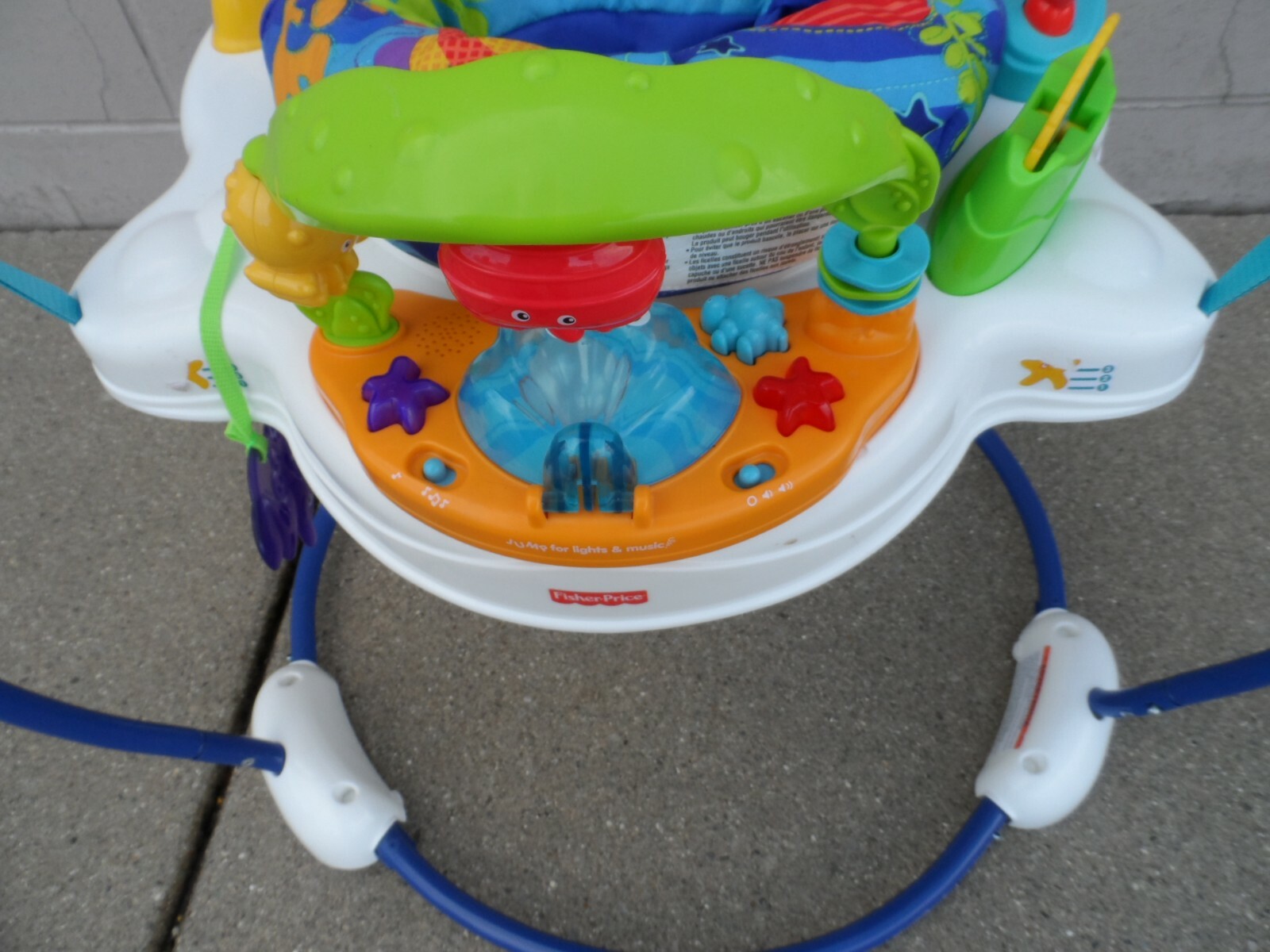 ocean wonders bouncer