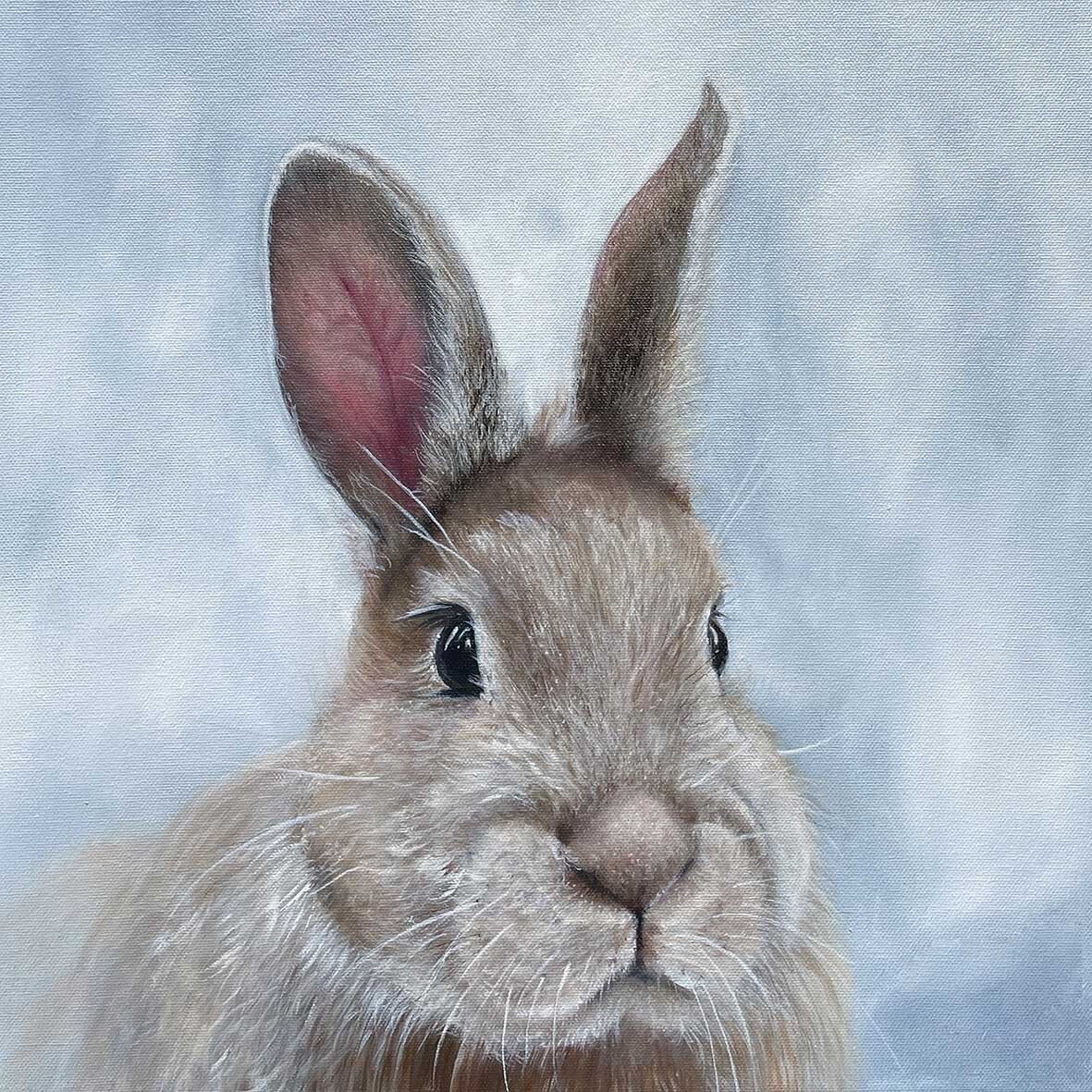 4 x COCKTAIL Napkin/3Ply/25cm/Decoupage/Portrait of Grey Rabbit/Niblet the Bunny