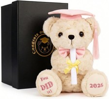 Pink Graduation Bear 2026 with Gold-Stamped Gift Box, 8 Inch Cute Graduation Stu