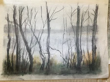 Franz Ehmke 1928 - 2018 Berlin Pastel Trees IN The Winter At Lakeside