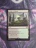 Temple of Malady Commander: Tarkir: Dragonstorm Regular
