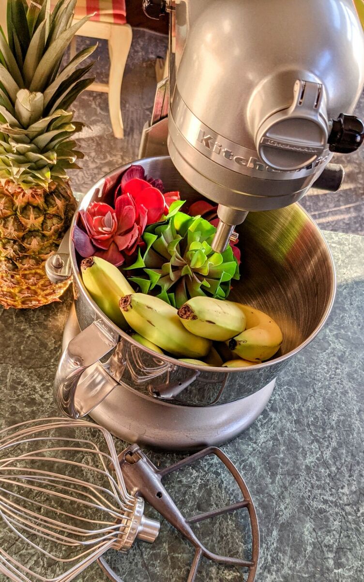 KitchenAid Professional 600 Series 10speed 6Qt Bowl Lift KitchenAid Professional 600 Series 10speed 6Qt Bowl Lift
