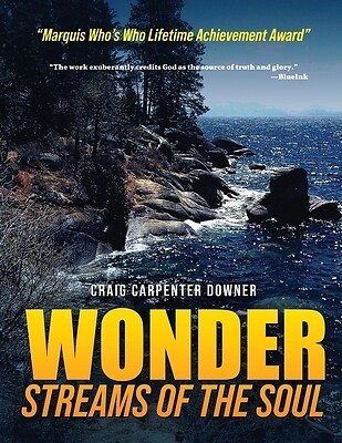 Wonder Streams of the Soul Craig Carpenter Downer Paperback