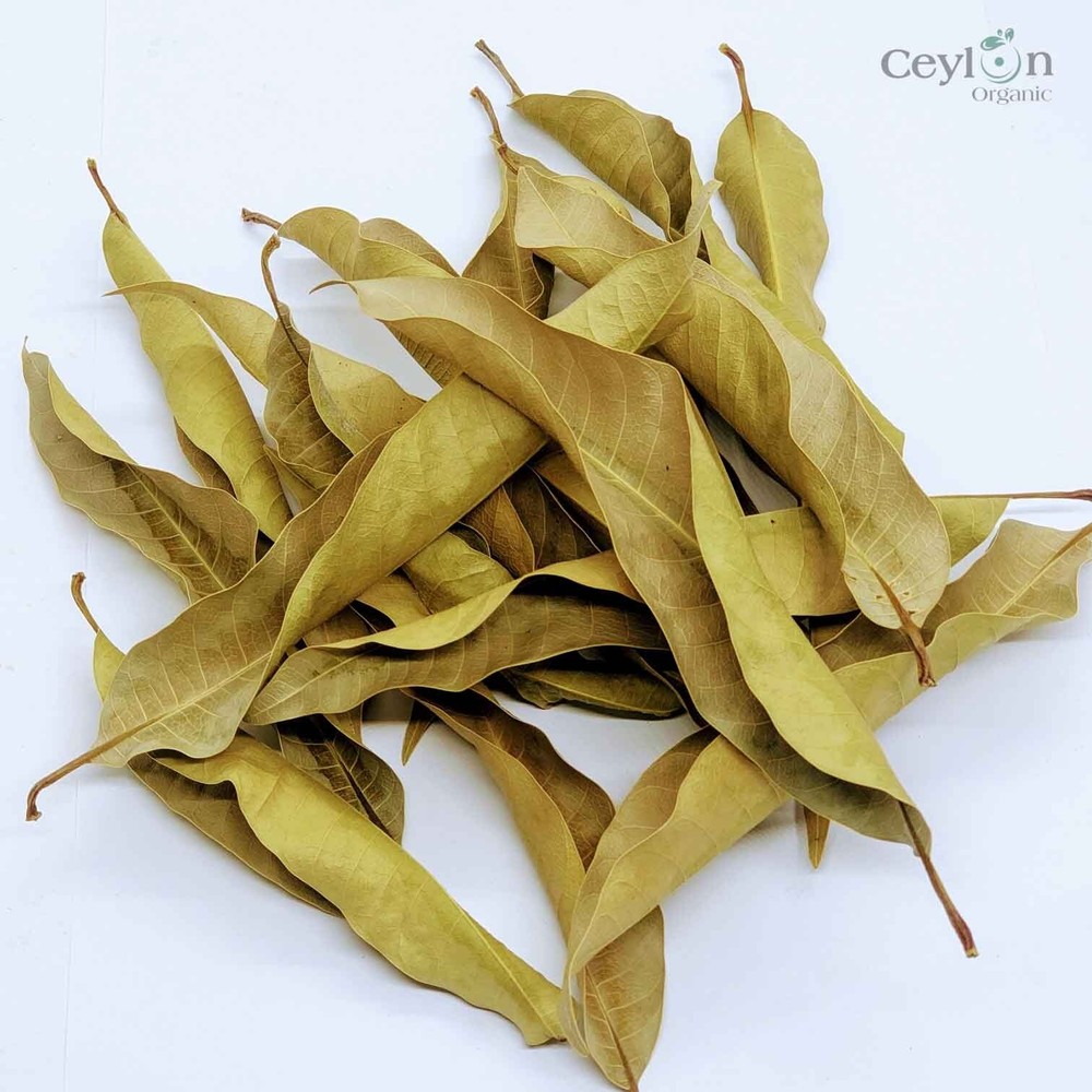 50 ORGANIC Dried Mango Leaf for tea Homemade From Sri Lanka leaves leave natural