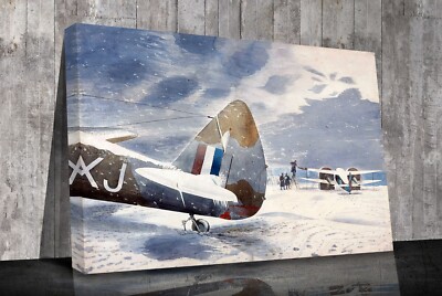 Enteisungsflugzeug, montierter Leinwanddruck oder nur Druck