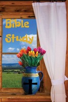 Denise N Lawless | Bible Study Notes | Taschenbuch | Englisch (2023)