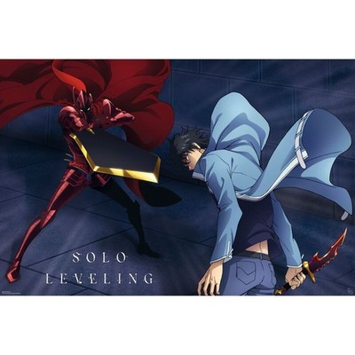 Solo Leveling Poster  Jinwoo Vs Igris multicolor Standard