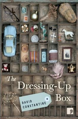 The Dressing-Up Box - 9781912697212