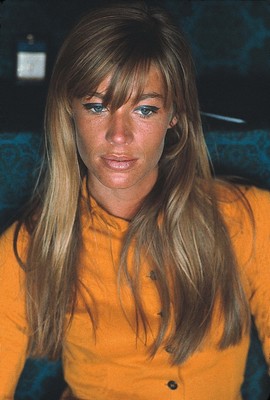 Françoise Francoise Hardy 8x12 giclee photo 