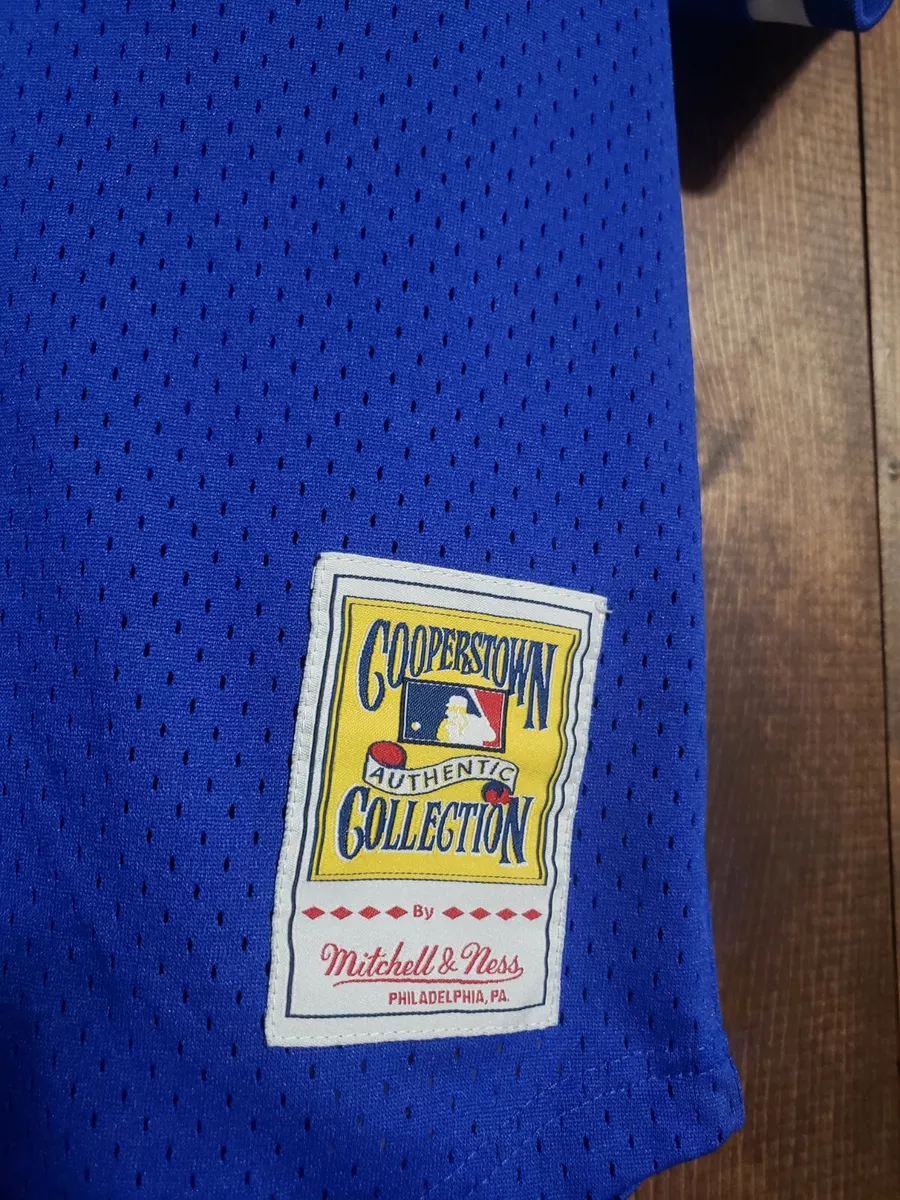 Mitchell & Ness Ryne Sandberg Chicago Cubs Cooperstown Authentic