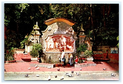 Public Fountain Sao Vicente Brazil Postcard