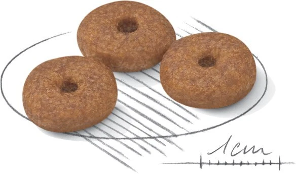 3182550793582 Royal Canin Mini Ageing 12+ 3,5 kg Adult Royal Canin - Bild 3 von 4