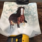 Vintage Budweiser Clydesdale Poster Lot. 7 Poster Lot Various Condition 1983 — photo 7