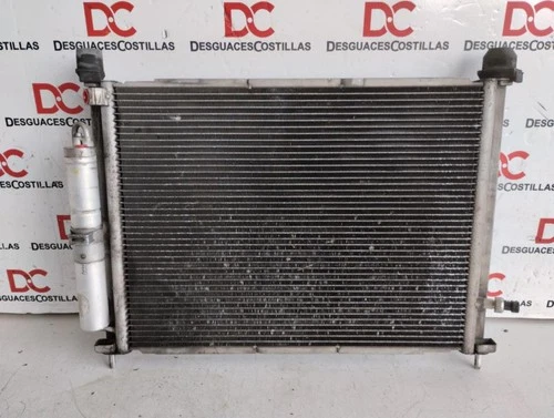 8200688390 Radiador Agua para RENAULT CLIO III Authentique 2007 165798 - Imagen 3 de 10