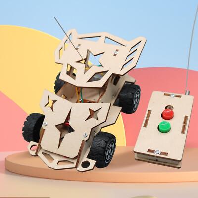 DIY Mini Ferngesteuertes Auto Spielzeug Zum Selbermachen Lernspielzeug für Kinder Jungen und