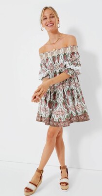 ASH & EDEN  Dapfney Off the Shoulder Dress $198 NWT SMALL Anthropologie