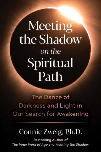 Meeting the Shadow on the Spiritual Path : The Dance of Darkness and Light in...